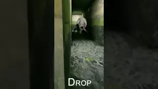 أنجلينا بنت جراني صارت عنكبوت عملاق 