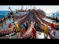 Lagu How giant octopuses are processed for food — Secrets of the industrial processing method revealed