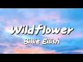 Download Lagu Billie Eilish - Wildflower (Lyrics)