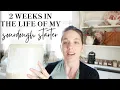 How I ACTUALLY use my Sourdough Starter My Easy No-measure Approach