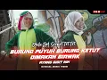 Download Lagu Dhila JM (Srepet Tet Tet) | Burung Puyuh Burung Ketut Dimakan Biawak (Ayang Gigit Nih) | Music Video