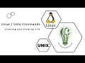 Creating Viewing File Commands cat