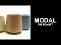 MODAL THE REALITY IS IT A SILK