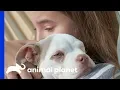 Amanda And Her Kids Try To Give This Pup The Best Life Possible Amanda To The Rescue