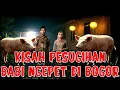 Download Lagu KISAH PESUGIHAN BABI NGEPET DI BOGOR JAWA BARAT ! CERITA HOROR PESUGIHAN