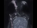 Sub Urban — The Wedding (Slowed + Reverb.)