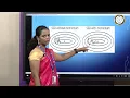 Optimization in Deep Learning - Dr A Annie Micheal