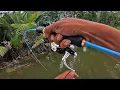 Download Lagu Semua jenis ikan muara berkumpul di 1 spot ini