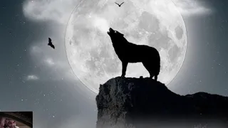 فتى نجران   حل الحزن   دندنها