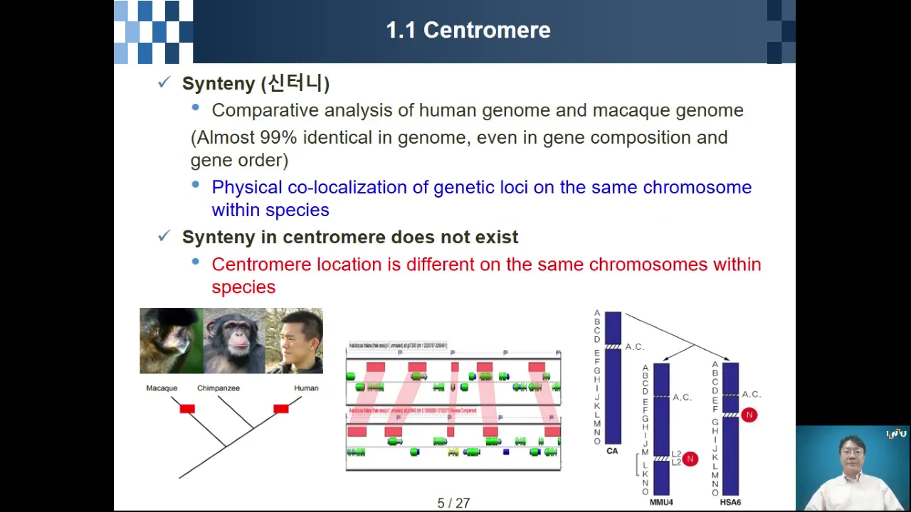 Epigenetics Chapter 01