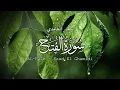 Download Lagu 48 - سورة الفتح - سعد الغامدي - Sourate AL-FATH - Saad El Ghamidi