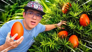 CAÇANDO OVOS SECRETOS DE DINOSSAUROS ESCONDIDOS!