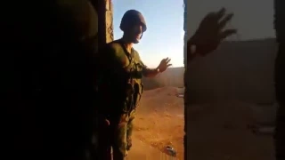                                                 دندنها