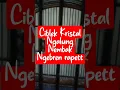 Download Lagu ciblek kristal Ngalung,Nembak,Ngebren rapett#shorts #fyp #ciblekkristalgacor #ciblek #ciblekkristal
