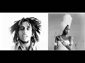 Bob Marley Ft. Erykah Badu | No More Trouble