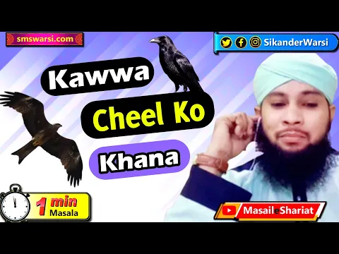 Cheel kawwo Ko khana dana dalna kaisa | Gidh ko gusht khilana #OneMinuteMasail