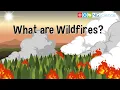 What are Wildfires