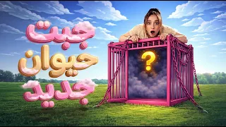 ما رح تتوقعوا شو جبت حيوان 😳