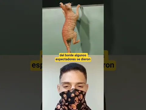 Estás personas salvaron a este gato 🐱🏟️ #shorts #parati #foryou #viral #short