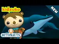 Download Lagu @Octonauts - 🐳 THE WHALES OF MYSTERY 🔍 | BRAND NEW | Season 5 | Full Episode 5 | @Kidzuko Exclusive!