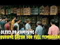 Download Lagu BUSYET DAH ! BAWA BURUNG ANAKNYA DARI KAMPUNG TP KUALITASNYA MANTUL