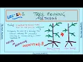 L-24 2 Tree Pruning Methods Machine Learning