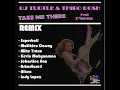DJ TURTLE & THIBO ROSH feat D'layna - TAKE ME THERE (REMIX MATTHIEU DORSAY).wmv