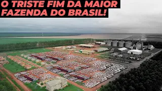 O QUE ACONTECEU COM A FAZENDA RONCADOR? PORQUE ACABOU?