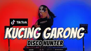 disco hunter kucing garong breaklatin remix 