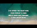 Fontaines D.C. - I Love You (Lyrics)