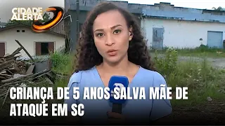 Criança de 5 anos salva mãe de ataque com facadas em Florianópolis