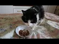 Pampering an old pussy