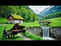 Download Lagu 50 Most Listened To Beautiful Classical Masterpieces of All Time🌿 Beethoven, Mozart, Bach, Chopin