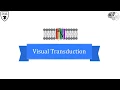 Tricky Topics Visual Transduction