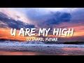 Download Lagu DJ Snake - U Are My High ft. Future