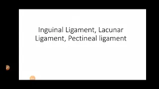 Inguinal - Pouparts Ligament Lacunar