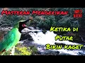 Download Lagu MASTERAN DAN PANCINGAN CUCAK IJO KURANG FIGHTER MALAS BUNYI DAN DROP, PANCINGA JITU AUTO GACOR..