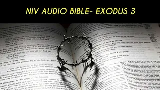 EXODUS 3 NIV BIBLE with text