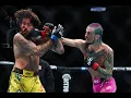 Pelea Completa Sean O Malley vs Chito Vera