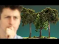 Download Lagu We don't know what's happening with forests