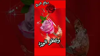 صباح الورد حالات الواتساب 