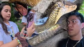 MGA ESTUDYANTE NANGANIB ANG BUHAY DAHIL SA PAG PASOK NG COBRA