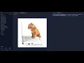 SOLVED SER334 Parallel Image Filtering