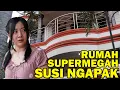 Lagu RUMAH BARU SUSI NGAPAK SUPERMEGAH TAPI GALAU | CERITA PENDEK