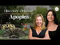 Why Everyone is Moving to Apopka FL Hidden Gem Near Orlando