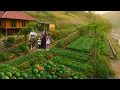Download Lagu Off-Grid Family Farm Life: Harvesting Watermelons \u0026 Growing a Green Paradise