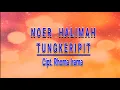 Download Lagu Tungkeripit (Lyric)  - Noer Halimah