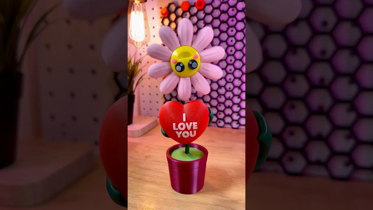 Valentine's Daisy video thumbnail