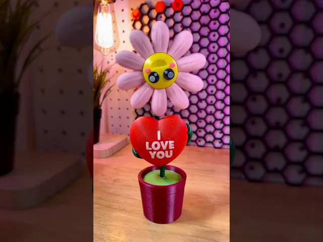 Valentine's Daisy video thumbnail