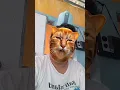 Download Lagu Makin mendesah makin enak🤣🤣#funny #lucu #trending #memes #humor #shorts #fyp #komedi #viral #bhfyp